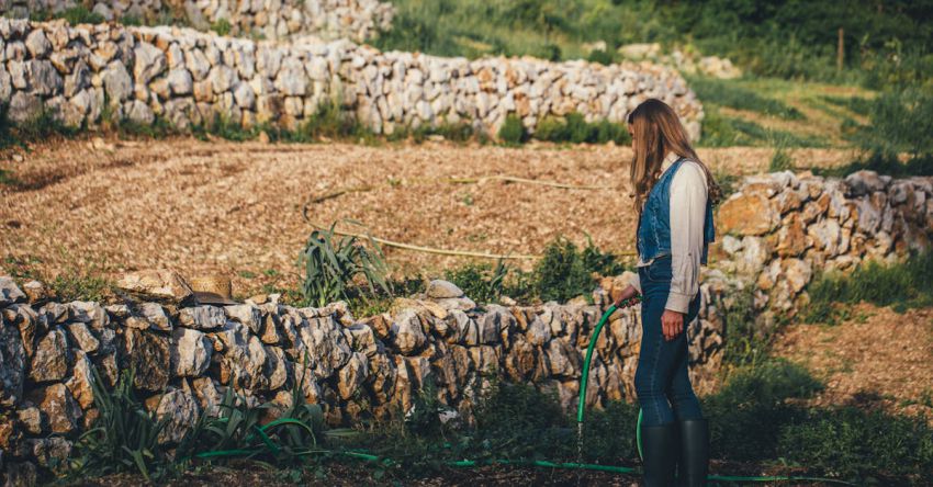 Smart Farming - Person Holding Water Hose Standing on Field next to Stone Wall