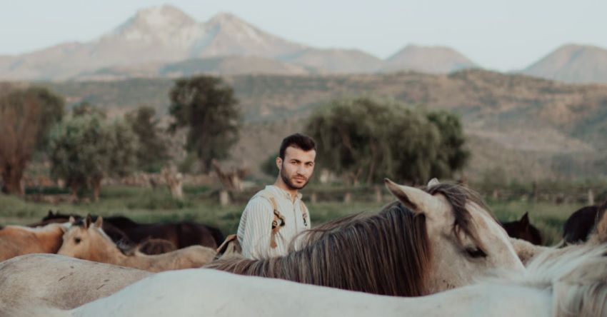 Precision Agriculture - A man standing in front of a herd of horses