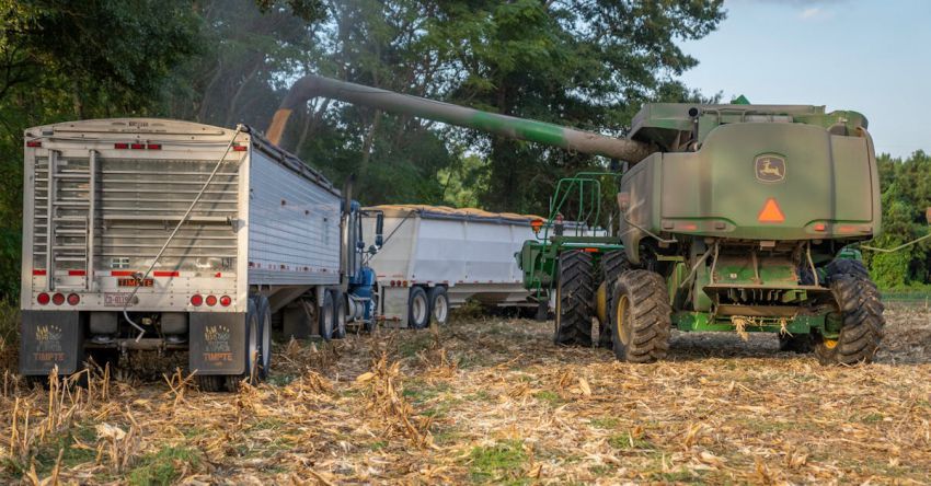 Harvesters - Combine Dumping Grain onto Trailer