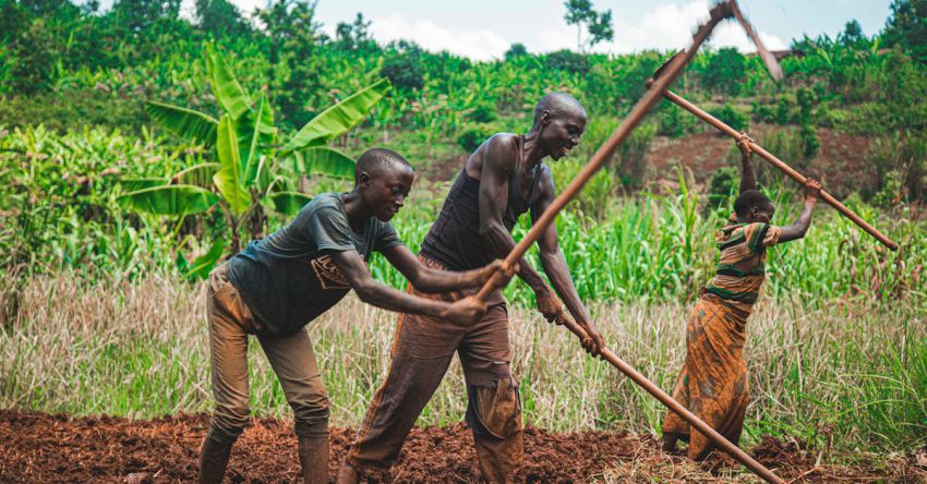 Plowing Tools - Farmers Flowing the Soil in the Farm Field