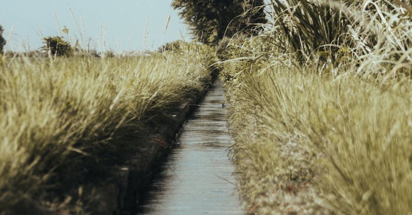 Irrigation System - An Irrigation System in a Field