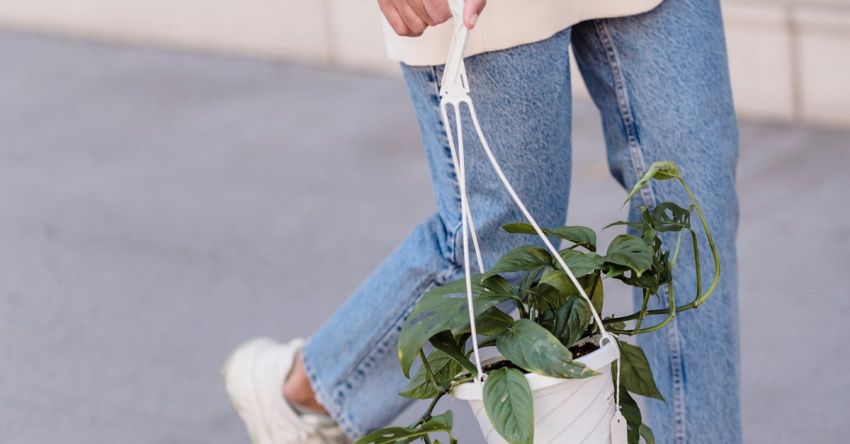 Planter - Crop anonymous female in stylish outfit and sneakers walking on sidewalk with hanging planter with green foliage on street in city