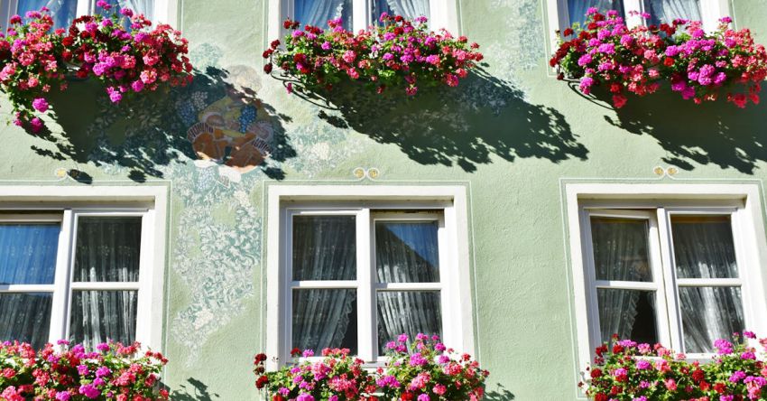 Planters - Red Pink Flower Hang on the Windows