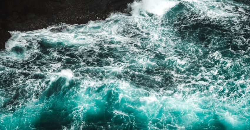 Microorganisms - View of Ocean Waves in Bioluminescence