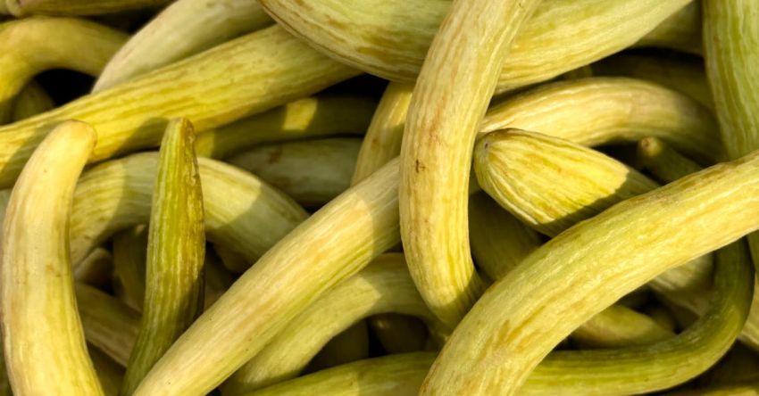 Precision Farming - A pile of green beans on a table