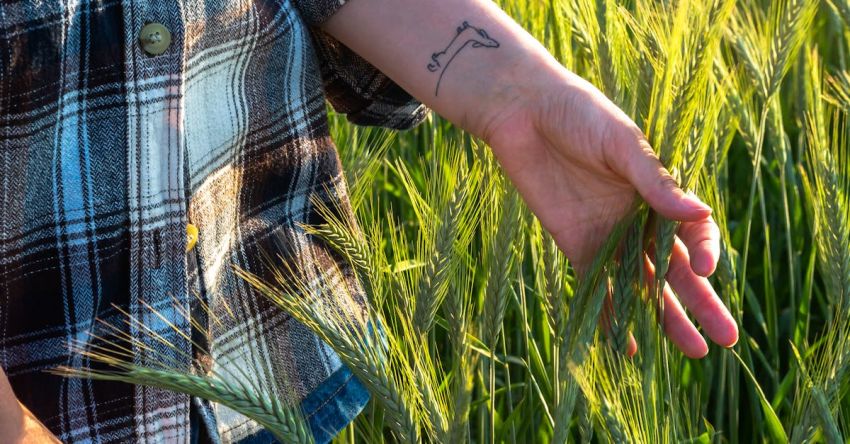 Precision Farming - A woman in a plaid shirt is standing in a field of wheat