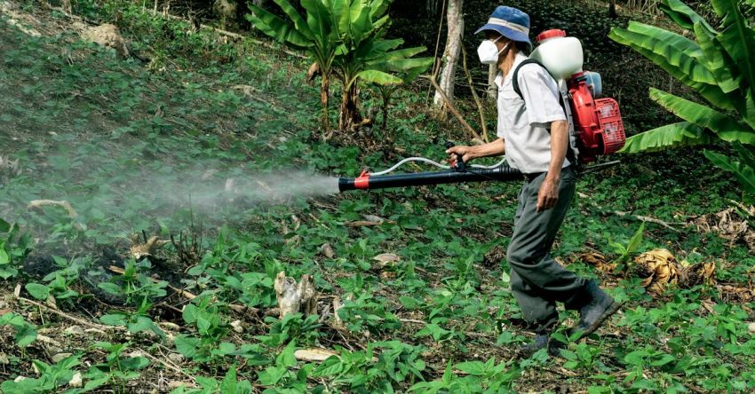 Pesticides - Man Spraying Pesticides in Wood