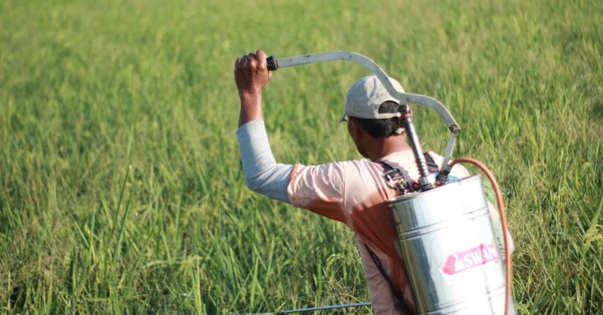 Pesticides - Man Spraying Field with Pesticides