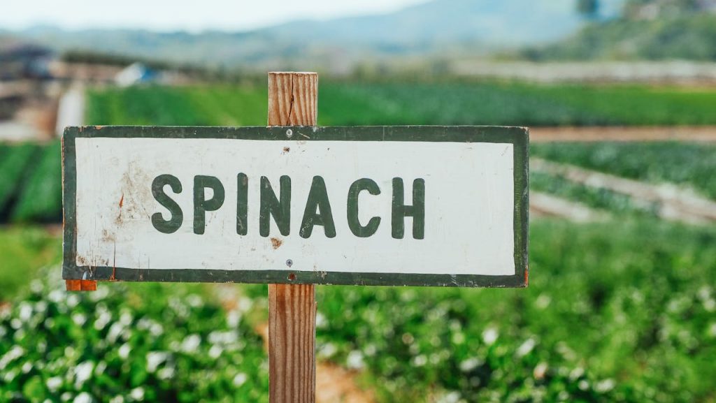 wooden-signage-with-a-word-spinach